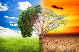 Klimatske promene